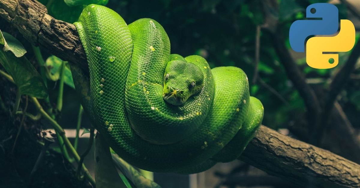 A green vicious-looking Python